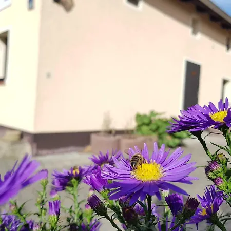 Appartement Balkenkunst Radebeul