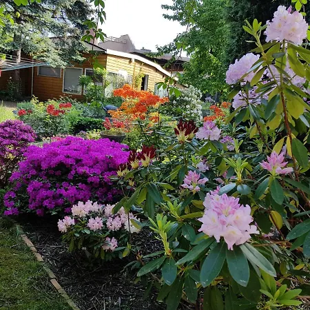 Balkenkunst Apartament *